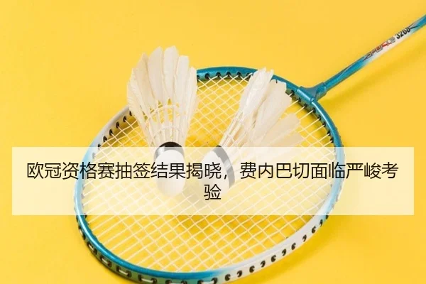 欧冠资格赛抽签结果揭晓，费内巴切面临严峻考验